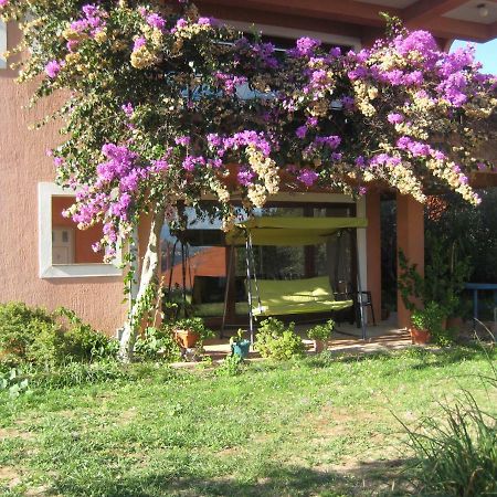 Apartman Lavanda Kali Esterno foto