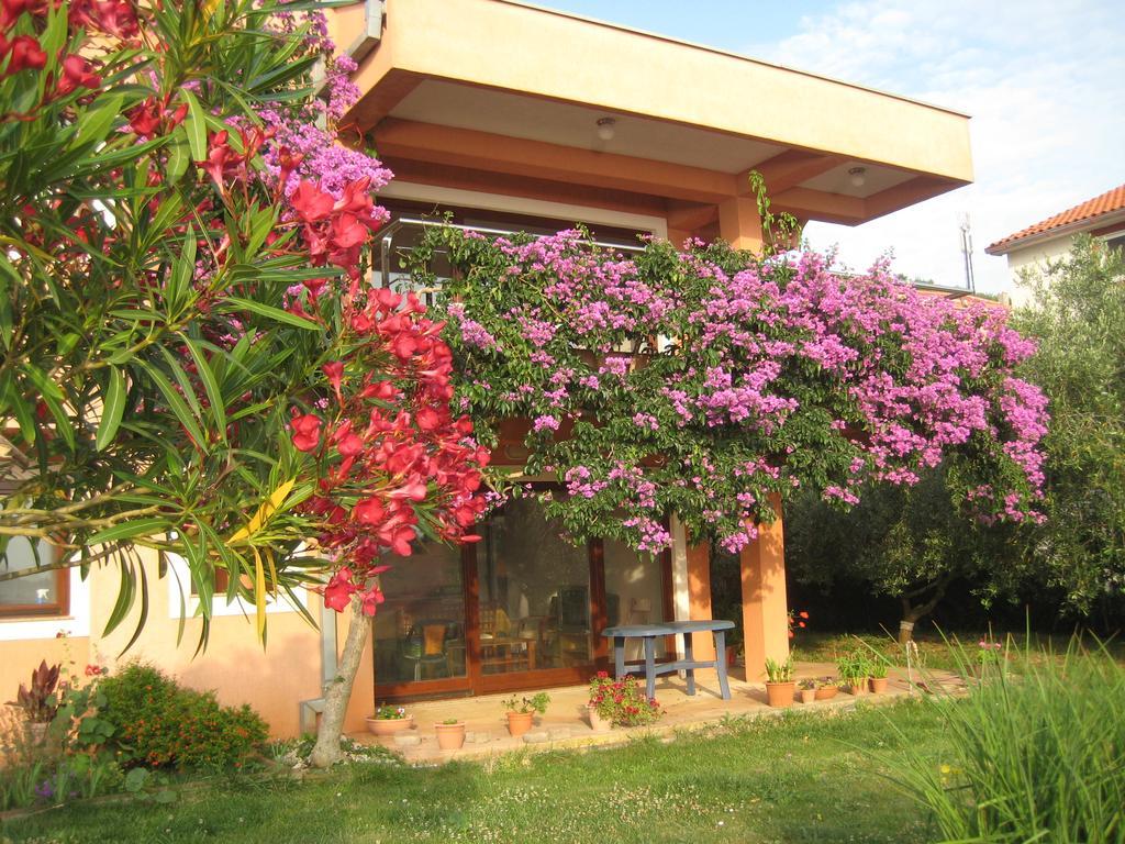 Apartman Lavanda Kali Esterno foto